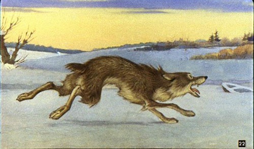 Волкоторвал себе хвост и пустился наутек