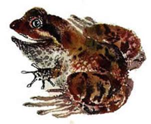 Цыпленок. Чуковский К. И.