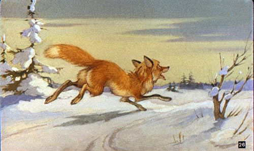 Лиса выбежала на дорогу