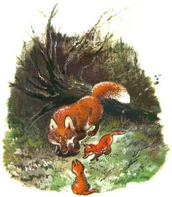 Орел и лисица.