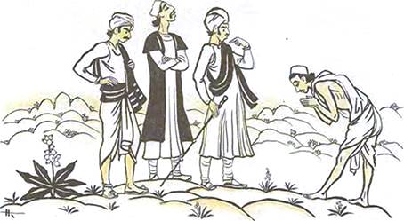 Индийская сказка. Учёные глупцы