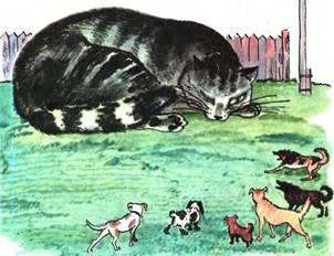 Кит и Кот. Стихи и сказки для детей