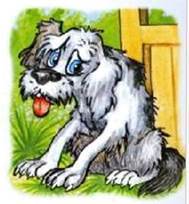 Волшебное кольцо. Русские народные сказки