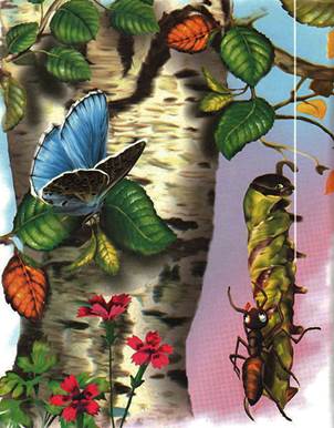 Как муравьишка домой спешил. Лесные сказки и рассказы. Виталий Бианки