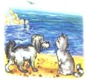 Волшебное кольцо. Русские народные сказки