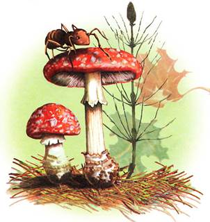 Как муравьишка домой спешил. Лесные сказки и рассказы. Виталий Бианки