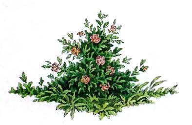 Богатырь Гувалик и красавица Велевума