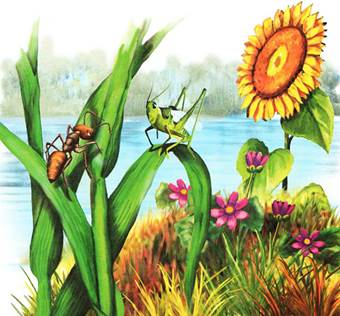 Как муравьишка домой спешил. Лесные сказки и рассказы. Виталий Бианки