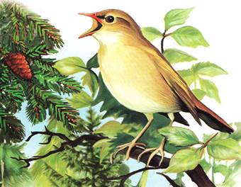 Синичкин календарь Август