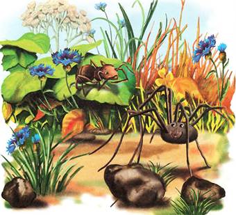 Как муравьишка домой спешил. Лесные сказки и рассказы. Виталий Бианки