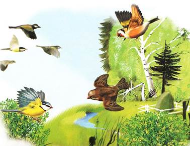 Синичкин календарь. Август. Виталий Бианки