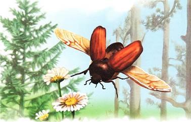 Как муравьишка домой спешил. Лесные сказки и рассказы. Виталий Бианки