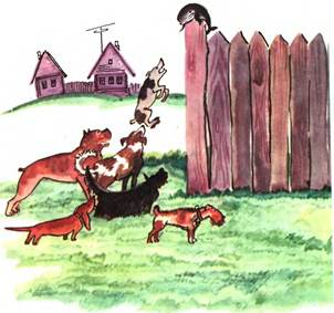 Кит и Кот. Стихи и сказки для детей