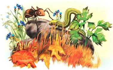 Как муравьишка домой спешил. Лесные сказки и рассказы. Виталий Бианки