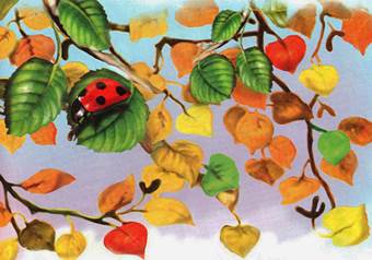 Как муравьишка домой спешил. Лесные сказки и рассказы. Виталий Бианки