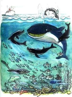 Фонтан, который умел плавать. Михаил Пляцковский