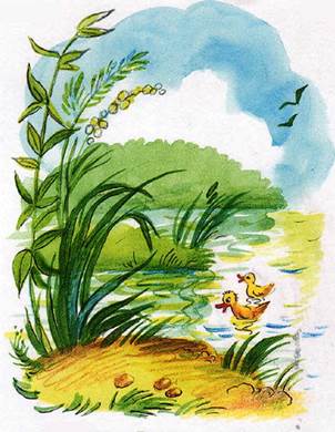 Зайкин корабль - Сутеев. В