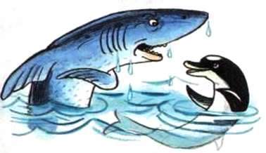 Фонтан, который умел плавать