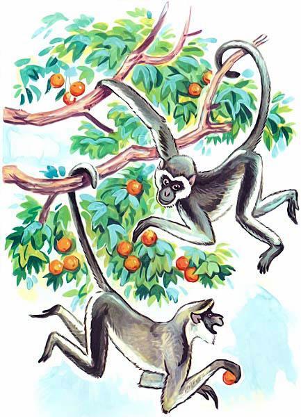 Детки в клетке