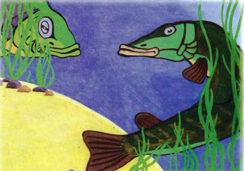 Ёрш - плутишка - 11