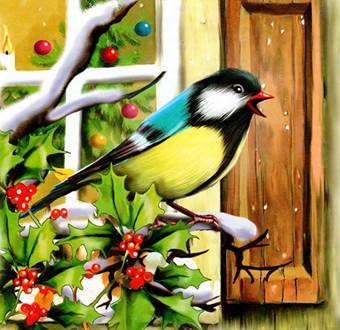 Синичкин календарь Декабрь