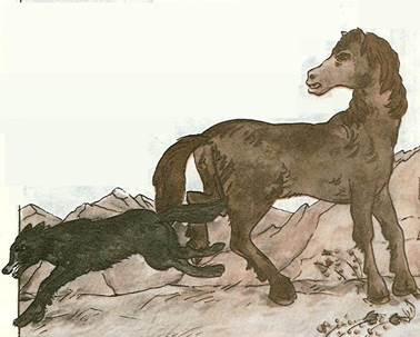 Великий шакал