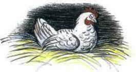 Что лучше всего?