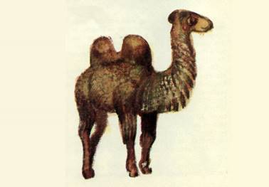 Как звери появились на свет. Африканская сказка