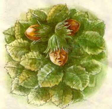 Кочеток и курочка. Русская народная сказка