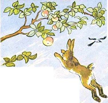 Яблочко. Иван Шутов