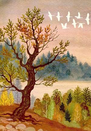 Девочка-лебедь