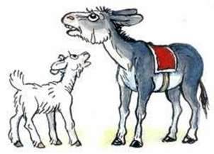 Как ослик учился уважать старших. Михаил Пляцковский