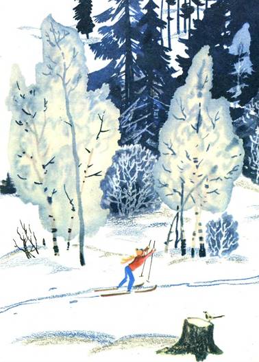 Лыжня и пень