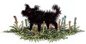 Двенадцать ножей