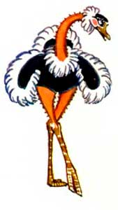 Страус и черепаха. - Сергей Баруздин