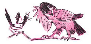 Сорока-наушница