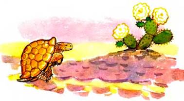 Страус и черепаха. - Сергей Баруздин