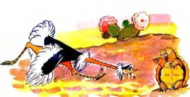 Страус и черепаха. - Сергей Баруздин