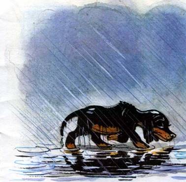 Щенок. Стихи и сказки для детей