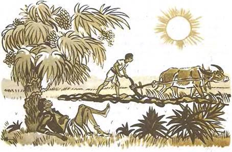 Индонезийская сказка. Дауд и Саиилах