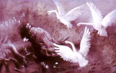 Дочь болотного царя. Сказки Андерсена