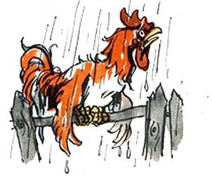 Петух тунеядец