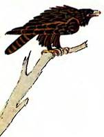 Иван коровий сын. Русские народные сказки