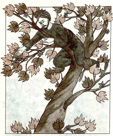 Как человека с дерева снять?