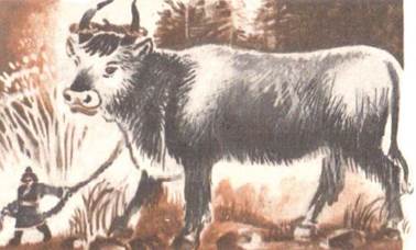 Мальчик с пальчик