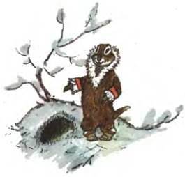 Чей дом лучше?