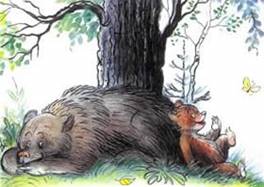 Медвежонок - невежда