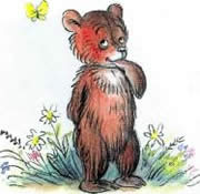 Медвежонок — невежда