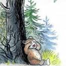 Медвежонок - невежда Не знает он приличий