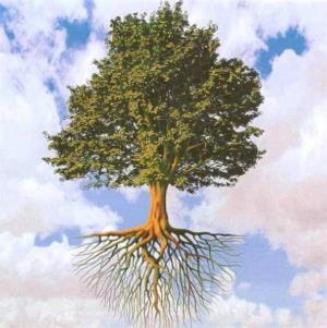 Листы и корни